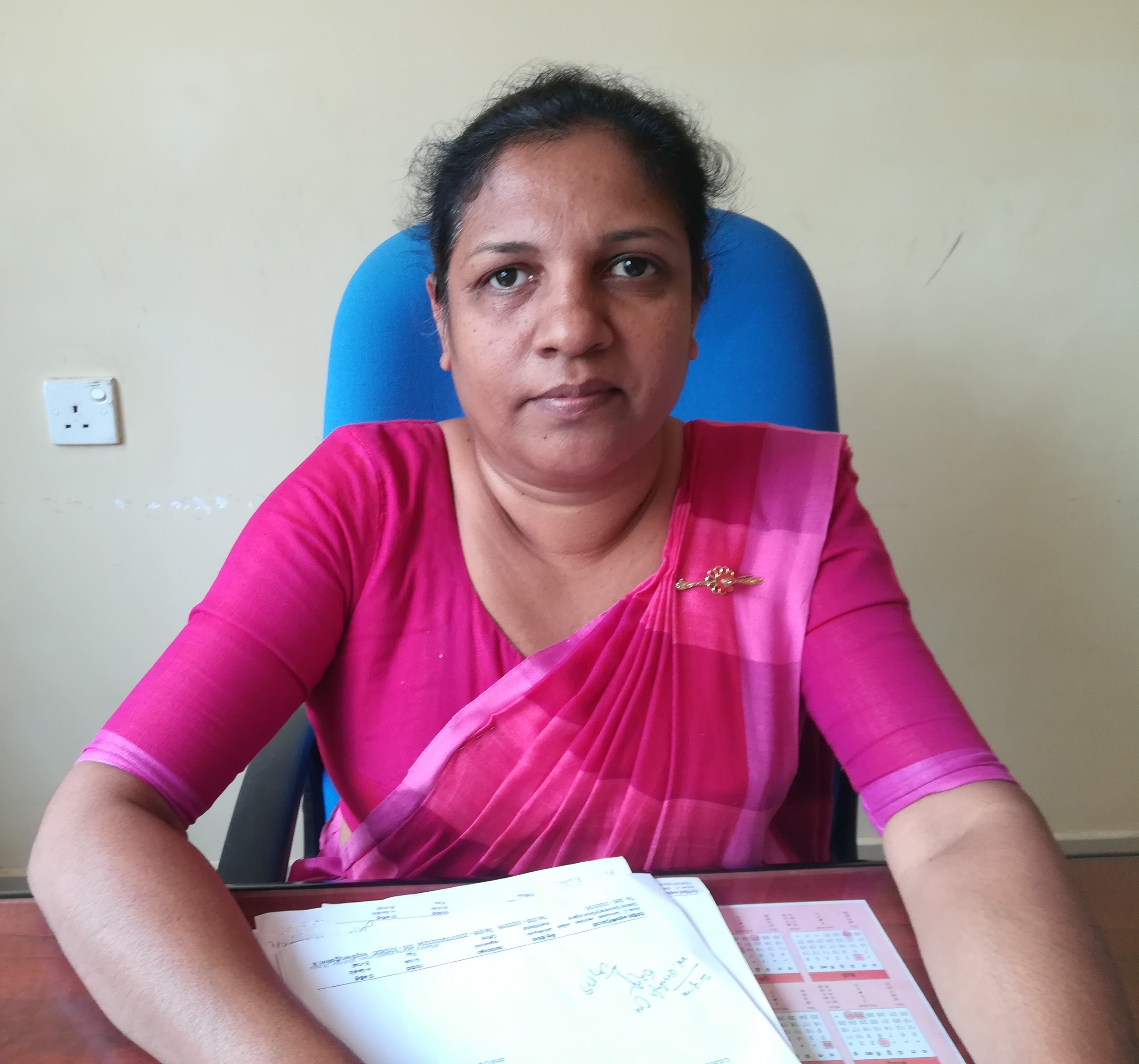 Deputy Director (Planning) Deputy Director (Planning)